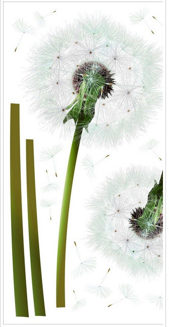 removable wall sticker ay987