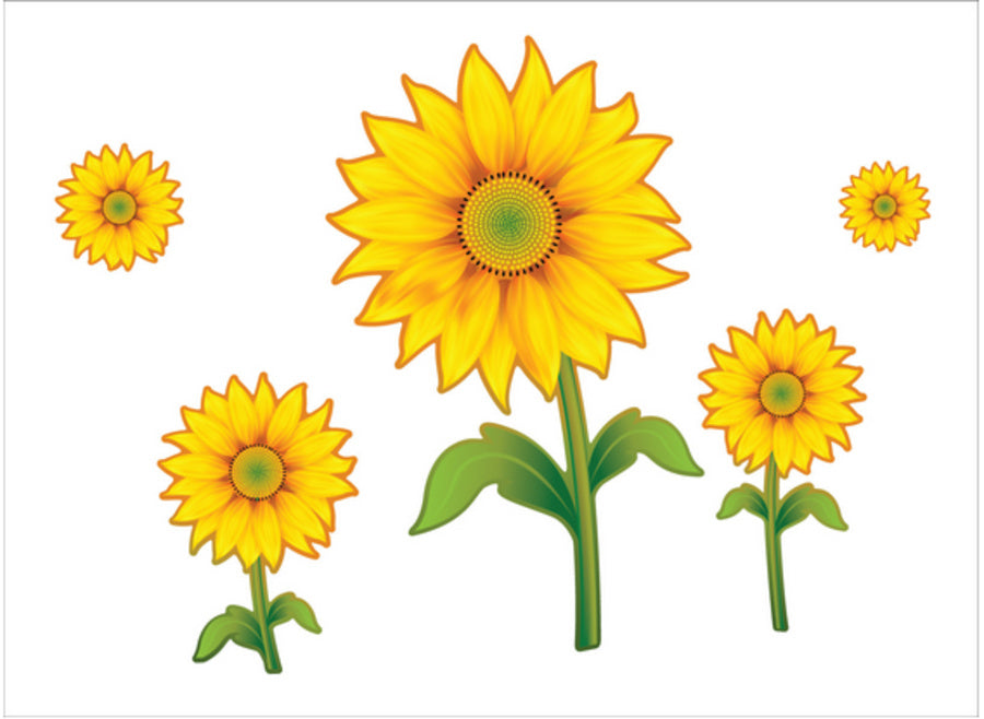 Sunflowers Stiker Dinding / Wall Sticker Ay125a