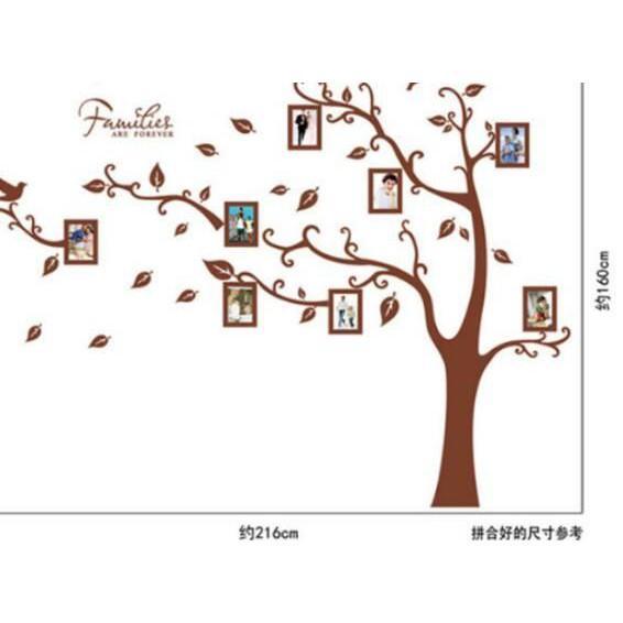 AY218 Wall sticker Tree Hanging Frames tow-saided