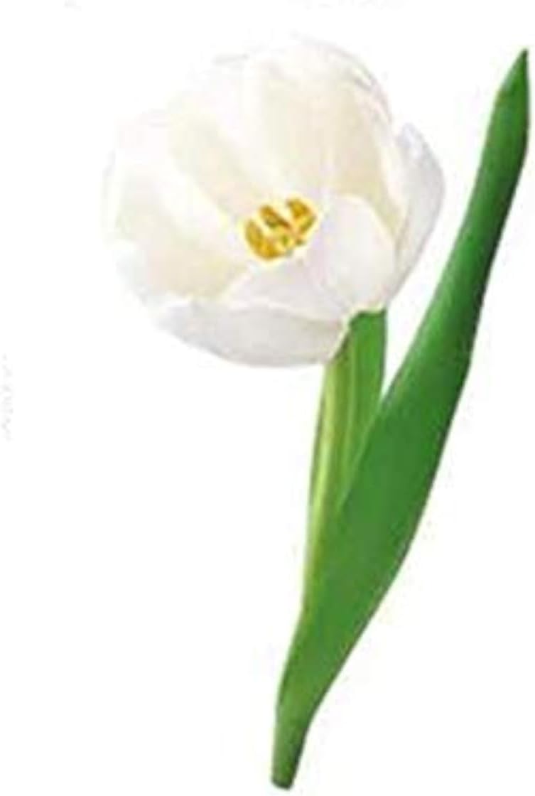 Flowers Wall Sticker (PVC Vinyl, 70 cm x 50 cm) Self Adhesive Sticker