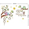 Cartoon Owls Tree Branches Wall Decals, Children's Room Nursery Removable Wall Stickers Murals size 60x90 xy1159