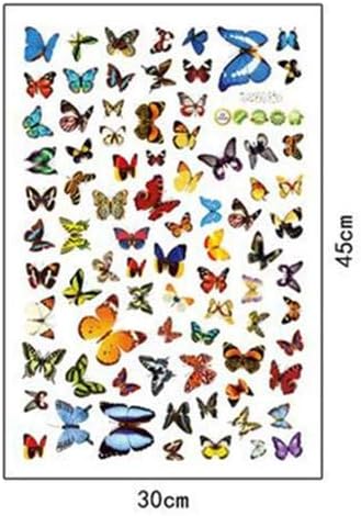 NC5070 7  butterfly color transparent furnishing decorative wall stickers