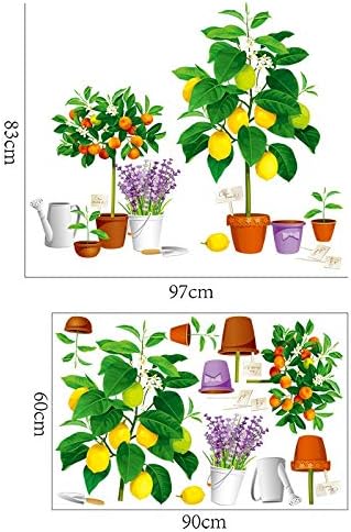 Creative new fruit tree potted Xh9304
