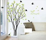 Tree Birds Wall Stickers Green Wall Sticker size 60x90 ay9094