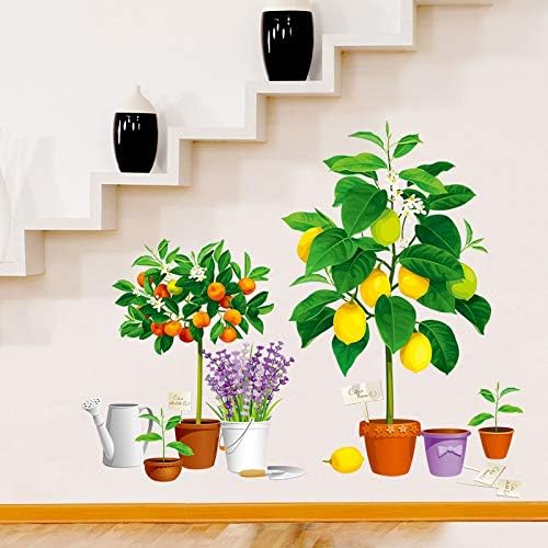 Creative new fruit tree potted Xh9304