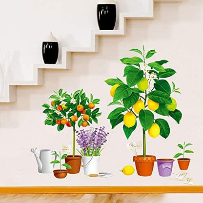 Creative new fruit tree potted Xh9304