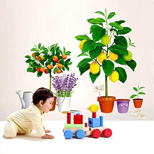 Creative new fruit tree potted Xh9304