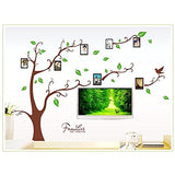 Family Photo Tree Wall Sticker (AY9063B)