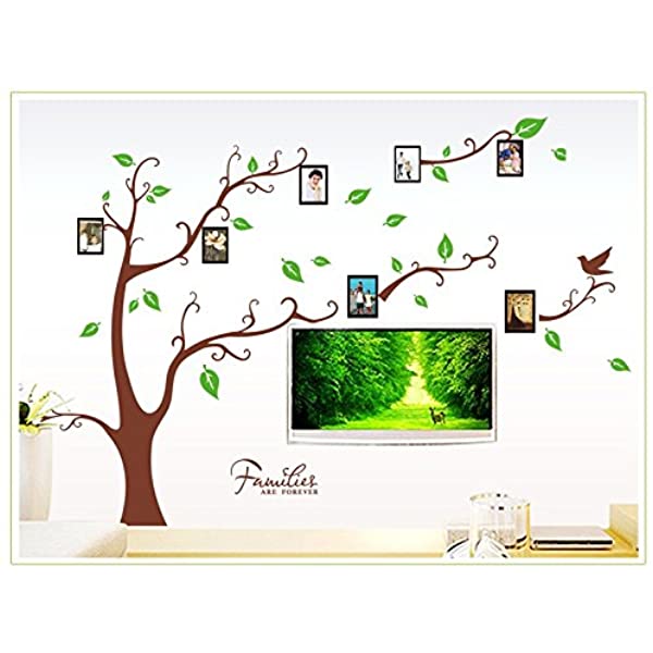 Family Photo Tree Wall Sticker (AY9063B)