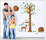 Wall Stickers Height Tree for Kids Room - AY9149