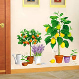 Creative new fruit tree potted Xh9304