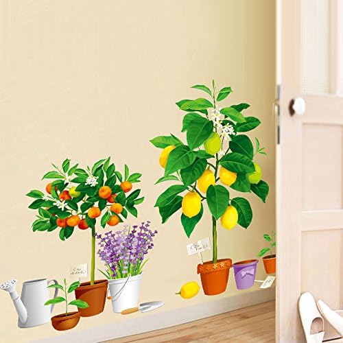 Creative new fruit tree potted Xh9304