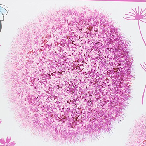 BIG BOOM® Flower Dandelion Butterfly DIY Removable Wall Sticker Decal Wallpaper
