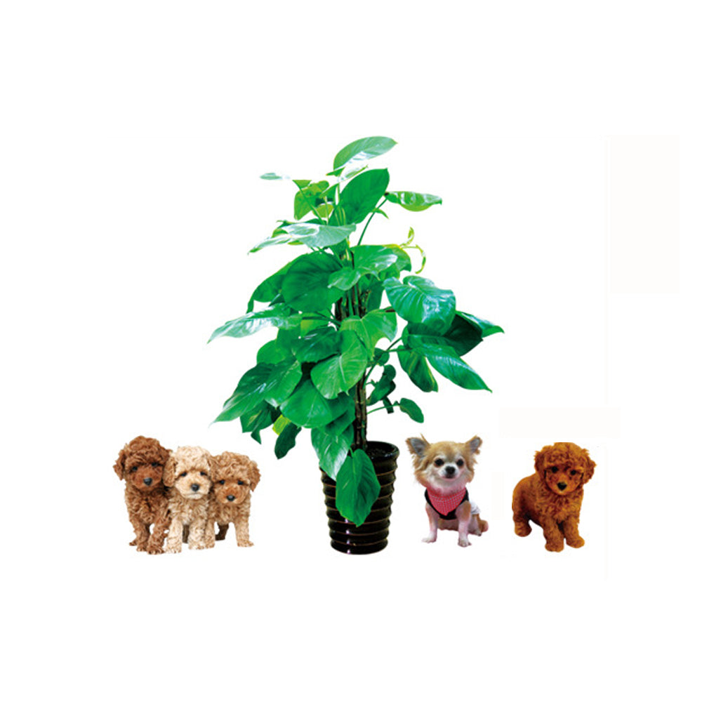 Fun Plant Pot Ball Flower Basket Fence Dog Tree Wall Sticker Ay7112
