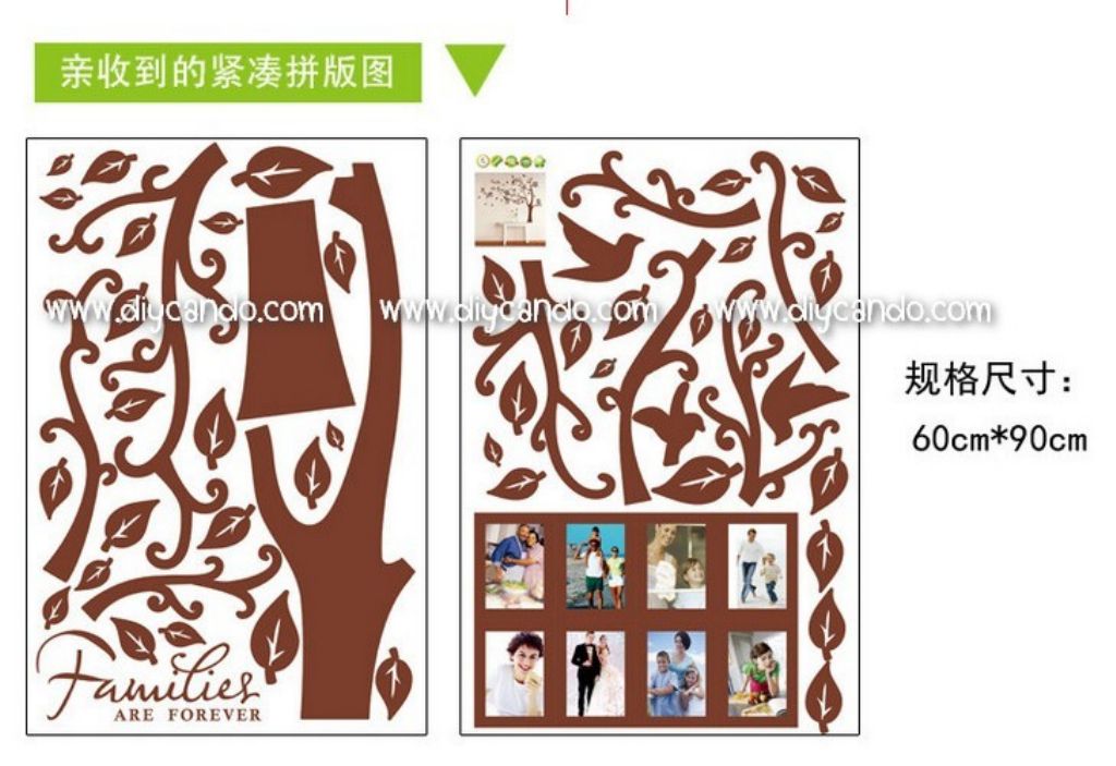 AY218 Wall sticker Tree Hanging Frames tow-saided