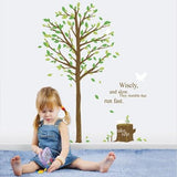 Wall Stickers - Tall Trees and Birds - Removable, Self-Adhesive Wallpaper Stickers - Plants, Trees, Flowers size 50x70 dm570075