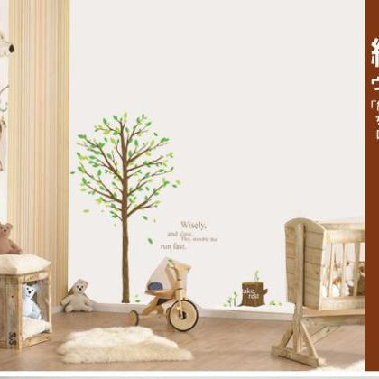 Wall Stickers - Tall Trees and Birds - Removable, Self-Adhesive Wallpaper Stickers - Plants, Trees, Flowers size 50x70 dm570075