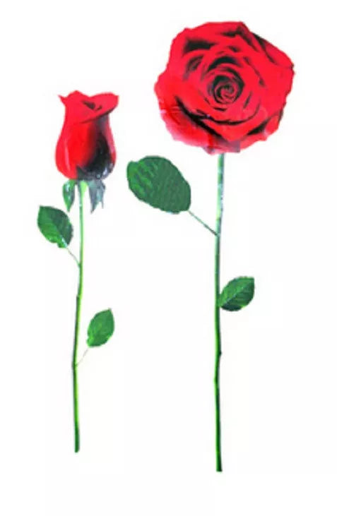 RED ROSE WALL DECAL REMOVABLE 24" x 13" WASHABLE CAN REPOSITION new SEE PICS